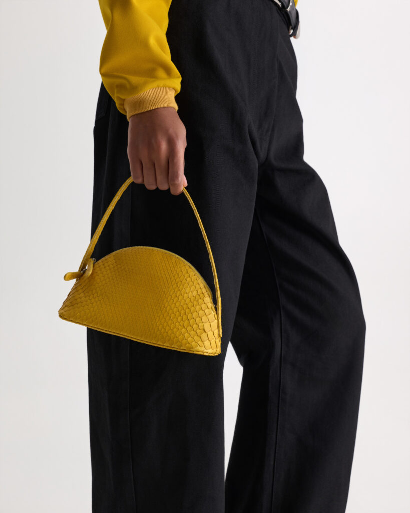 Python Mini – Saffron