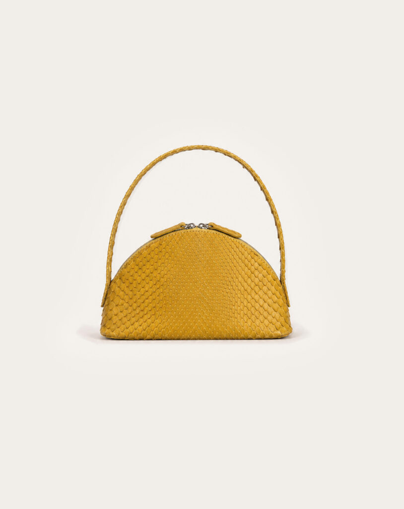 Python Mini – Saffron